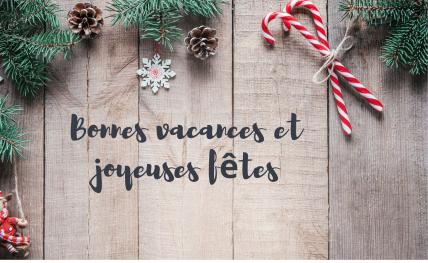 L'ENSEGID vous souhaite de joyeuses fêtes de fin d'année ! 