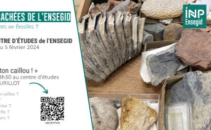 Les collections cachées de l'ENSEGID : cailloux, roches ou fossiles ?