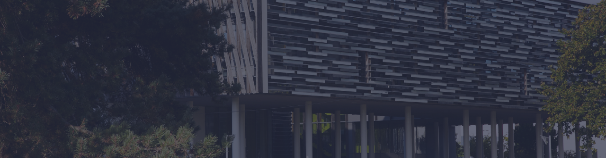 Banniere du site bordeaux INP