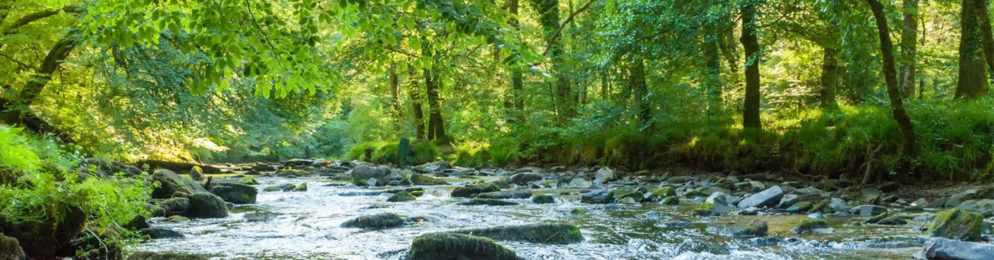Fleuve, changement climatique