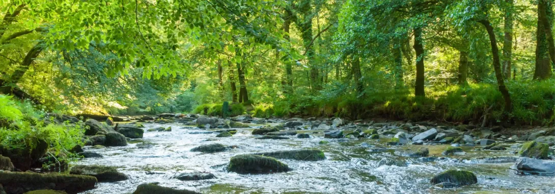 Fleuve, changement climatique