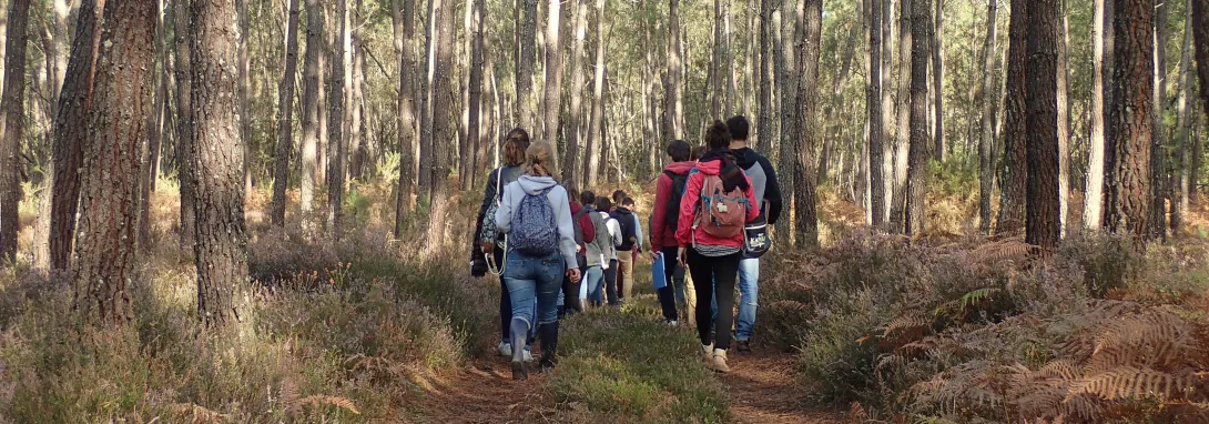 Diplôme d'Établissement "Ingénierie Écologique et Adaptation au Changement Climatique"