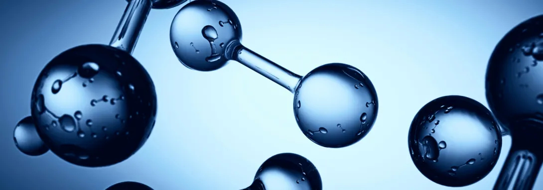 L'ENSEGID co-organise le colloque annuel du GDR HydroGEMM à Strasbourg