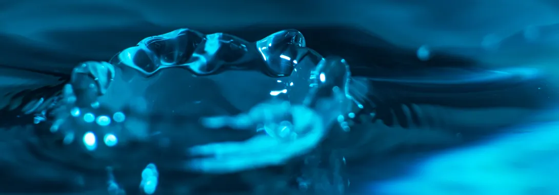 La bataille de l'eau