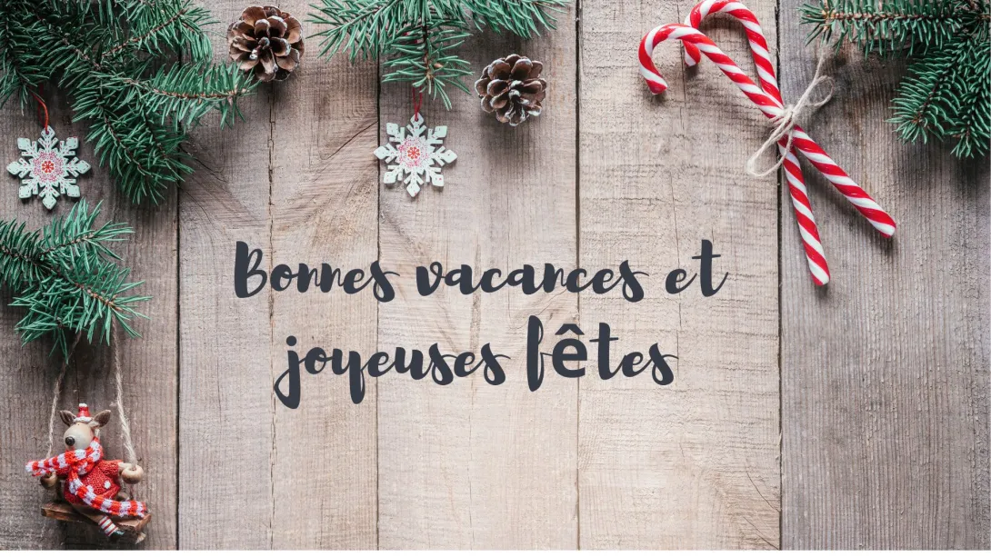 L'ENSEGID vous souhaite de joyeuses fêtes de fin d'année ! 