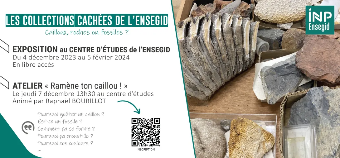 Les collections cachées de l'ENSEGID : cailloux, roches ou fossiles ?